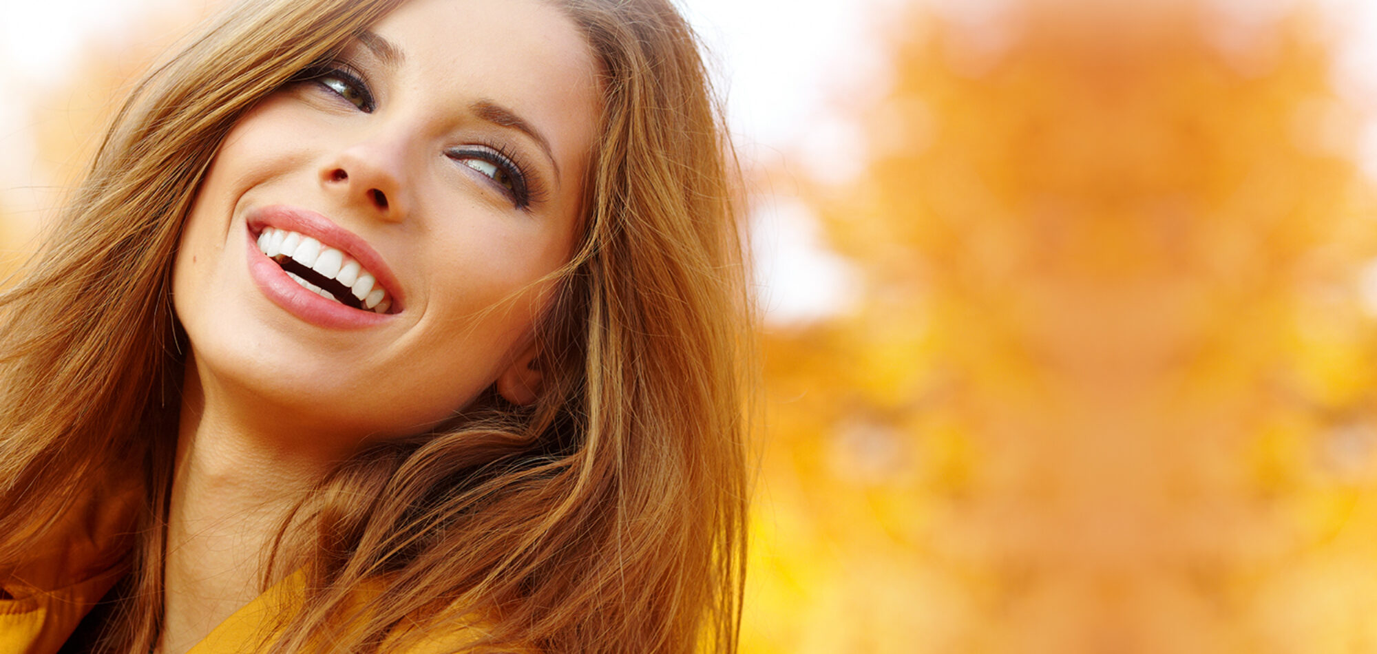 Asset - One & Only Dental - 1