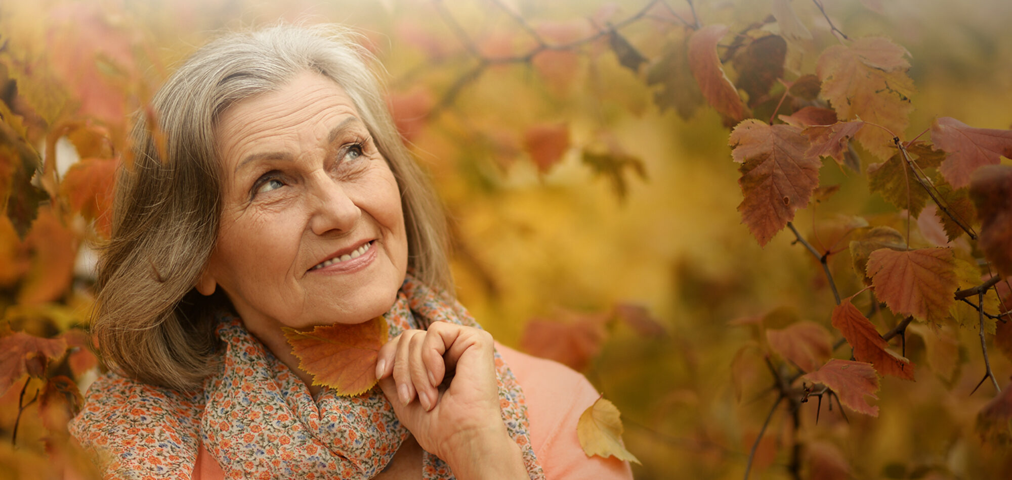 Asset - One & Only Dental - 1